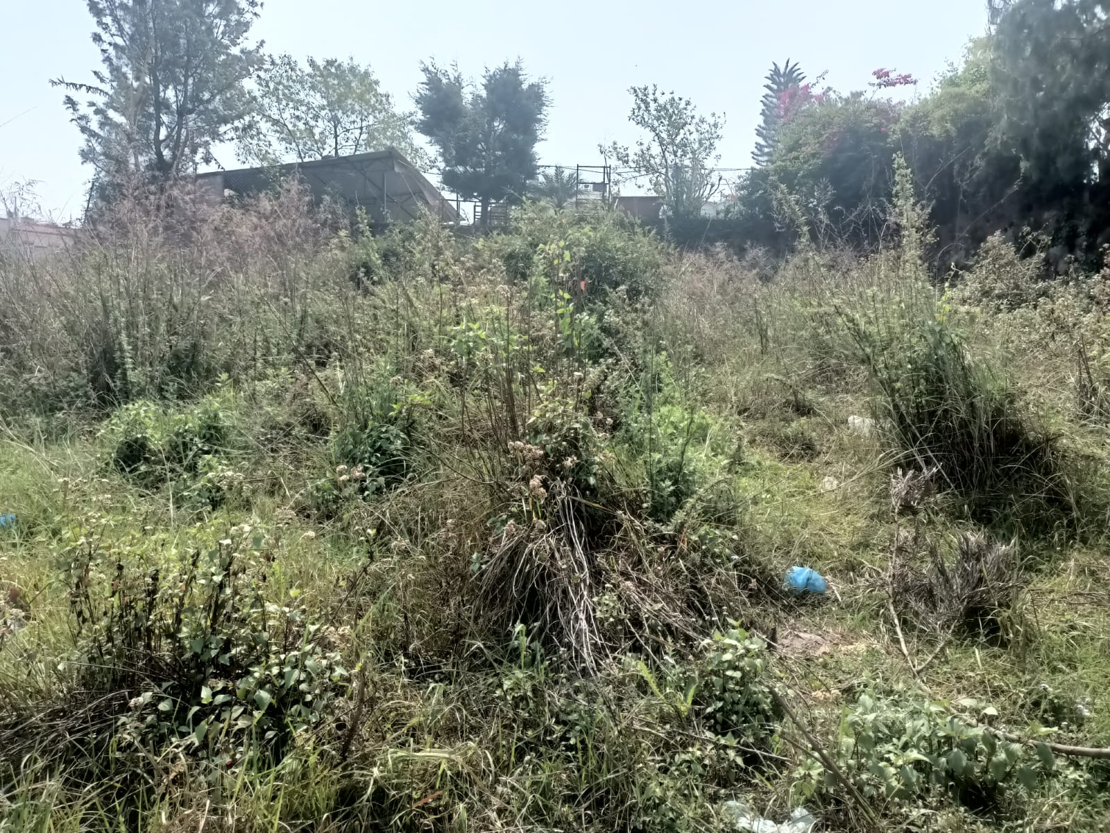 Picture of Budhanilkantha Municipality, Bagmati